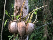 Удивительный Таиланд. Первая поездка. Много Фото 18.03.2011