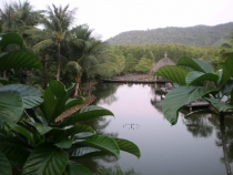 Удивительный Таиланд. Первая поездка. Много Фото 18.03.2011