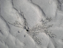 Удивительный Таиланд. Первая поездка. Много Фото 18.03.2011