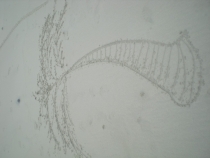 Удивительный Таиланд. Первая поездка. Много Фото 18.03.2011