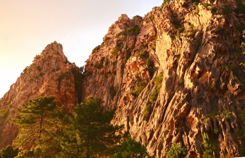 Корсика. Неделя на острове красоты. Май 2014