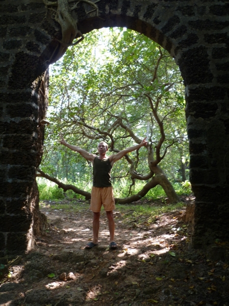 Ёжик in туман