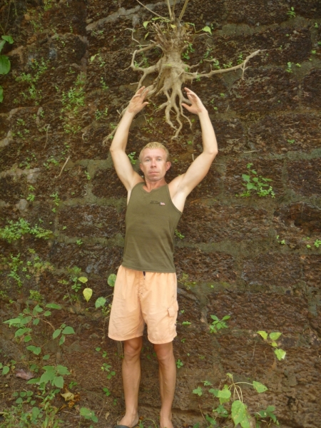 Ёжик in туман