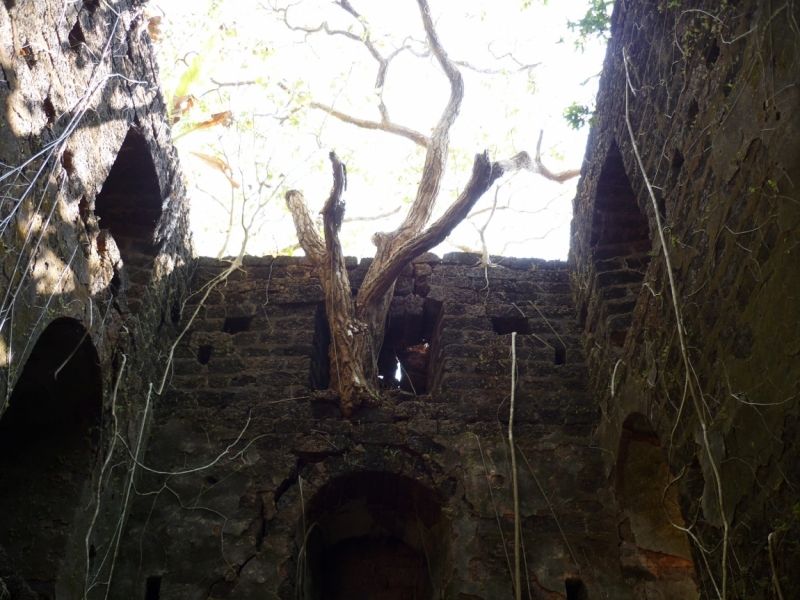 Ёжик in туман