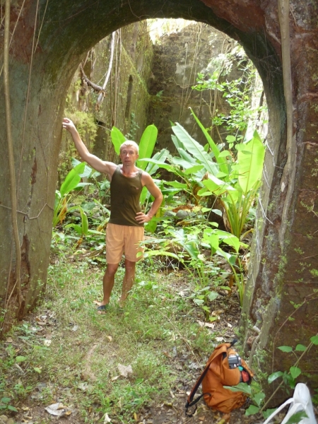 Ёжик in туман