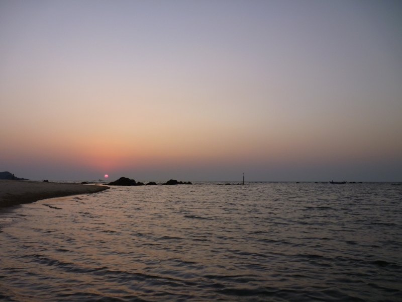 Ёжик in туман