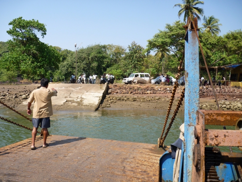 Ёжик in туман