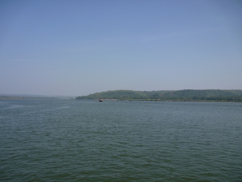 Ёжик in туман