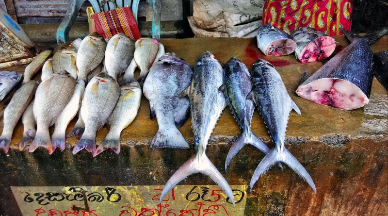 Культурный треугольник на мотобайках + пляжи Хиккадува - Матара (много фото) Культурный треугольник на мотобайках + пляжи Хиккадува - Матара (много фото)