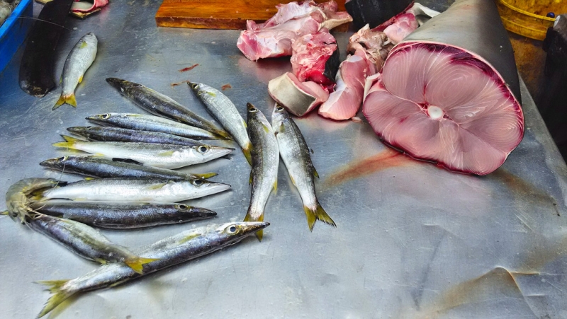 Культурный треугольник на мотобайках + пляжи Хиккадува - Матара (много фото) Культурный треугольник на мотобайках + пляжи Хиккадува - Матара (много фото)