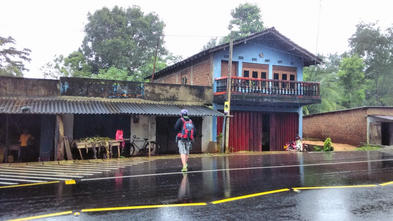 Культурный треугольник на мотобайках + пляжи Хиккадува - Матара (много фото)