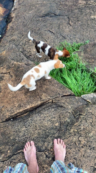 Культурный треугольник на мотобайках + пляжи Хиккадува - Матара (много фото)