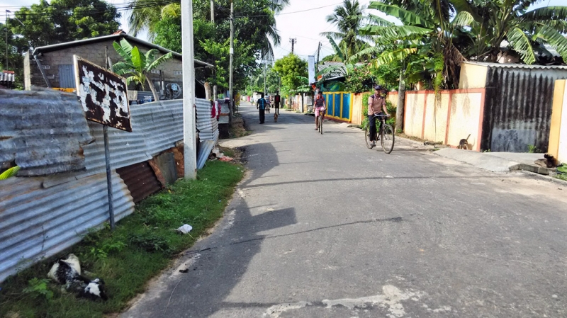 Культурный треугольник на мотобайках + пляжи Хиккадува - Матара (много фото) Культурный треугольник на мотобайках + пляжи Хиккадува - Матара (много фото)