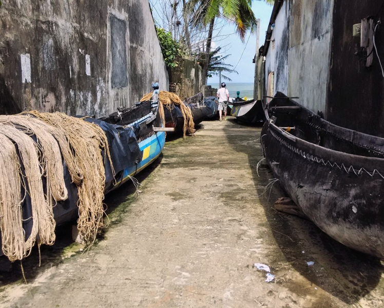 Культурный треугольник на мотобайках + пляжи Хиккадува - Матара (много фото) Культурный треугольник на мотобайках + пляжи Хиккадува - Матара (много фото)