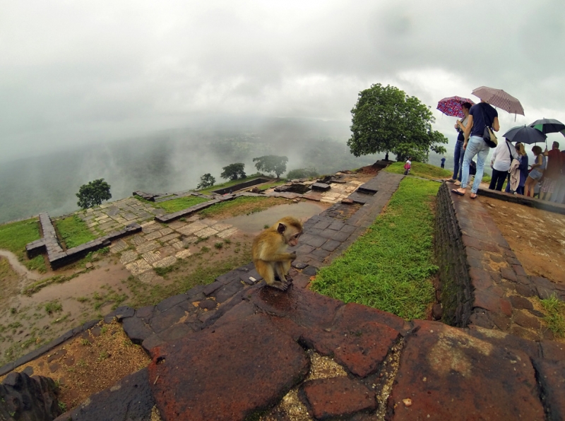 Культурный треугольник на мотобайках + пляжи Хиккадува - Матара (много фото) Культурный треугольник на мотобайках + пляжи Хиккадува - Матара (много фото)