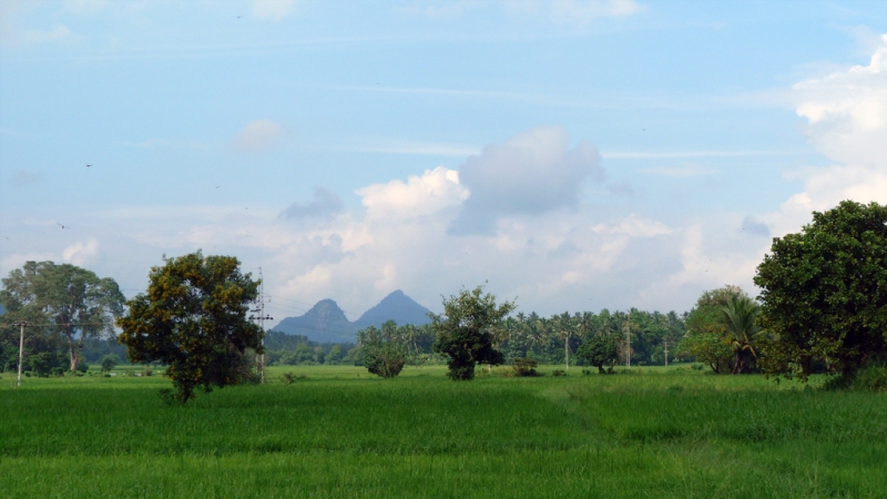 Культурный треугольник на мотобайках + пляжи Хиккадува - Матара (много фото) Культурный треугольник на мотобайках + пляжи Хиккадува - Матара (много фото)