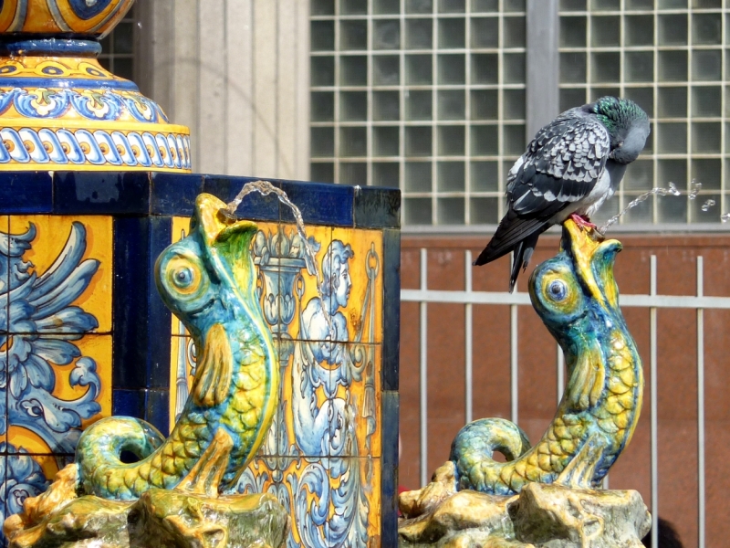 Как я купил мотоцикл в Бриджпорте, и проехал на нём по Америке.