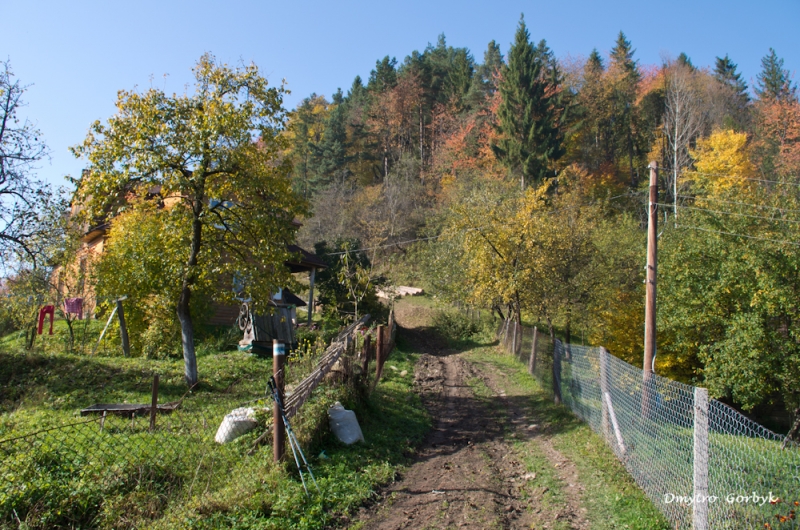 Золотая осень 14-го