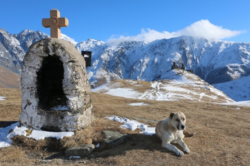 Грузия (Казбеги, Тбилиси, Кахетия, Кутаиси, Батуми)_январские каникулы_2015