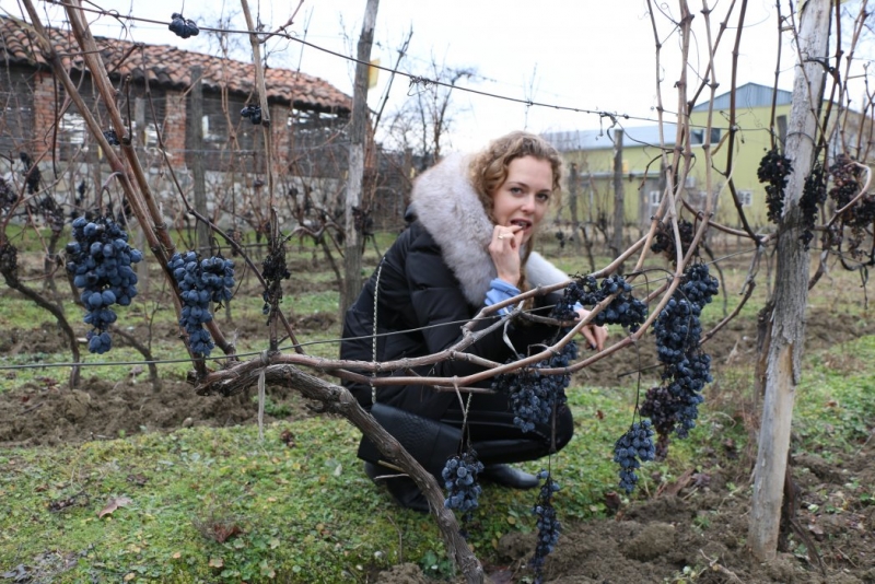 Грузия (Казбеги, Тбилиси, Кахетия, Кутаиси, Батуми)_январские каникулы_2015