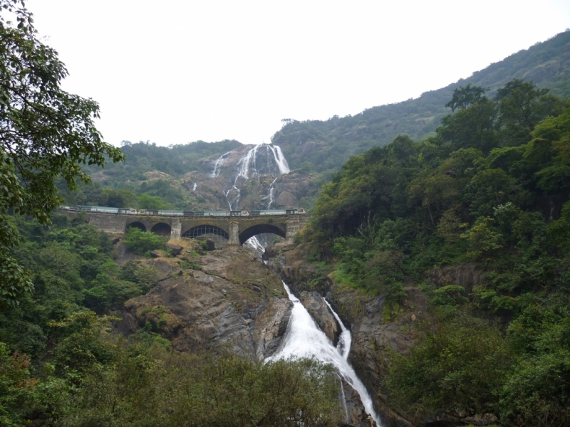 Ёжик in туман