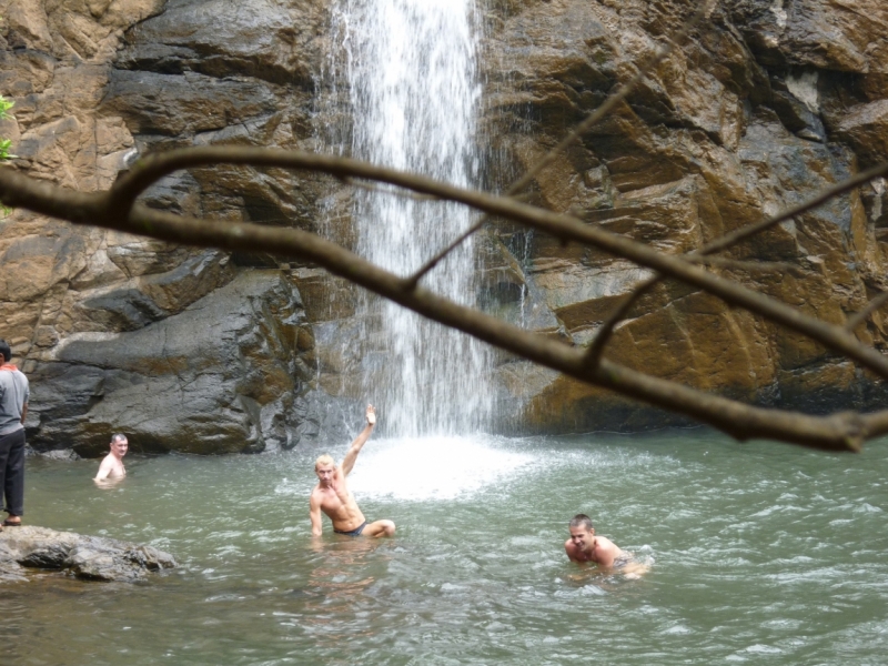 Ёжик in туман