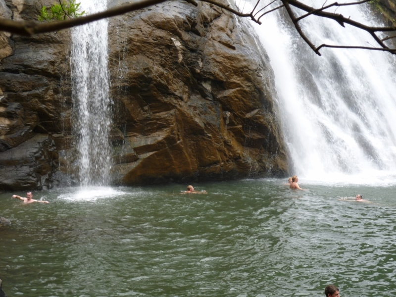 Ёжик in туман