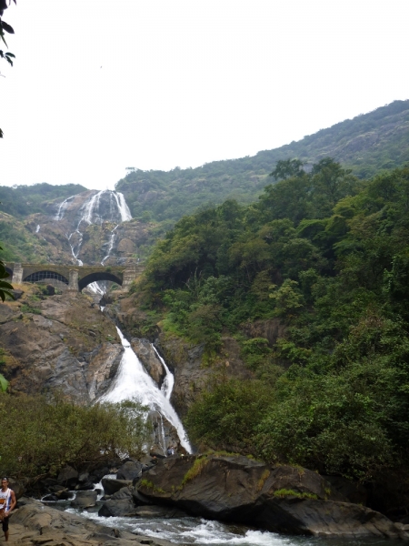 Ёжик in туман