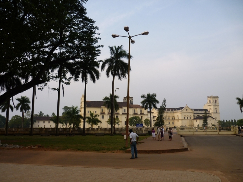 Ёжик in туман