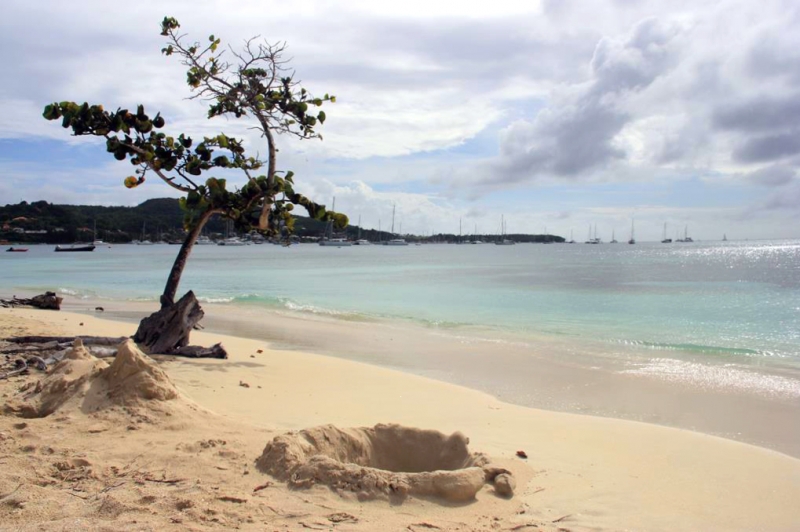 От Мартиники до рифов Тобаго под парусом на НГ