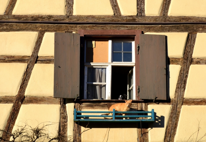 Новогодняя сказка 2015. Эльзас от Страсбурга до Мюлуза.Национальный музей автомобилей