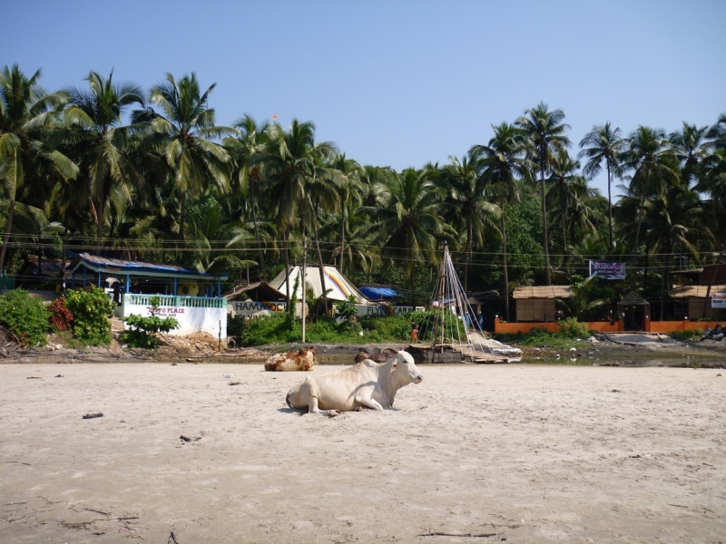 Ёжик in туман