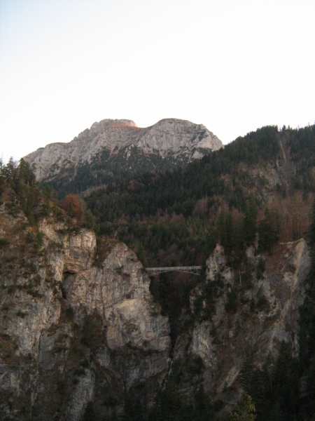 Италия-Германия. Помогите мудрыми советами!