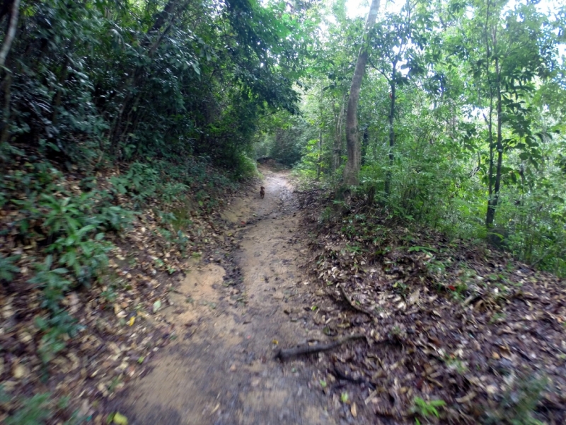 Наши открытия во Вьетнаме (будет много фото)
