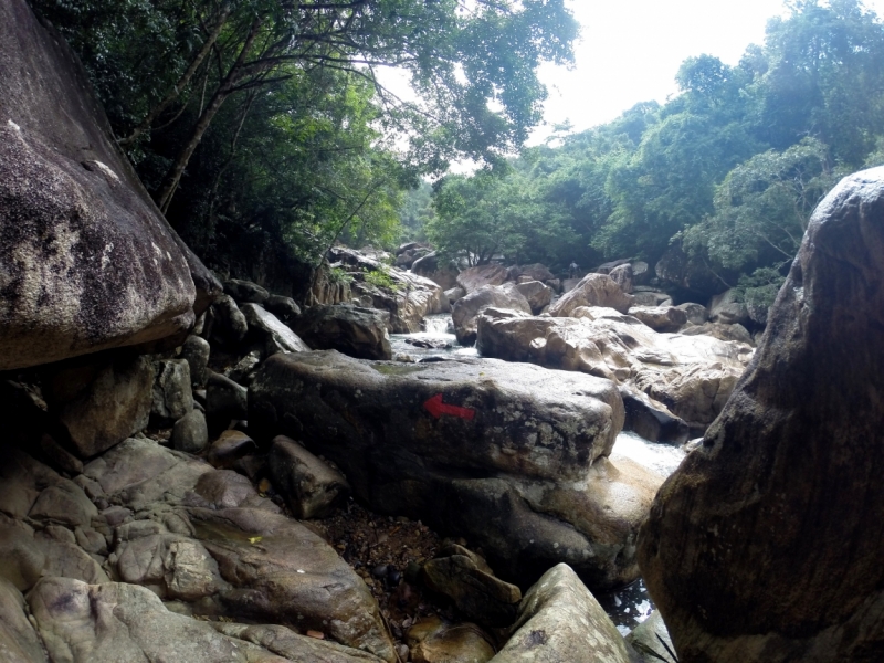 Наши открытия во Вьетнаме (будет много фото)