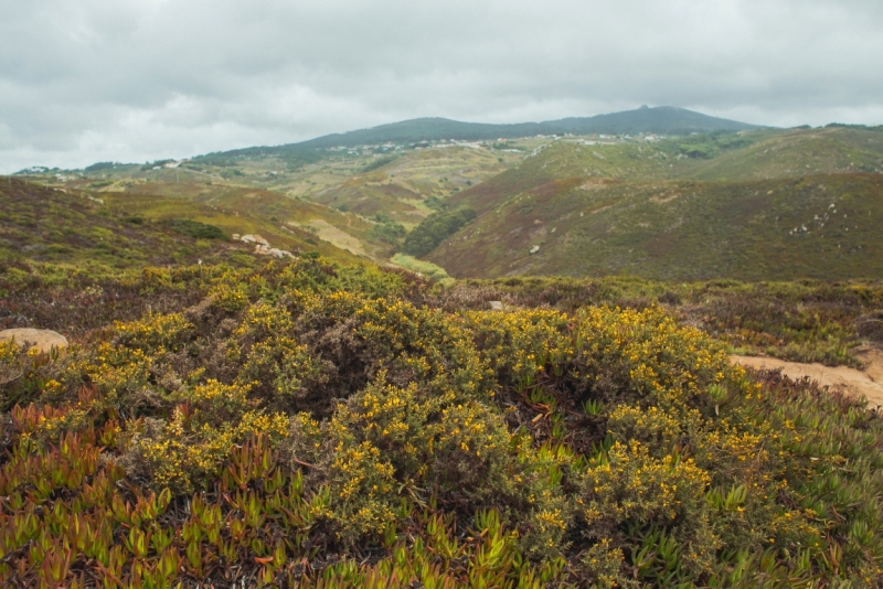 Две недели в Португалии: Лиссабон + Эрисейра. Сентябрь 2014 г. (Много фото)