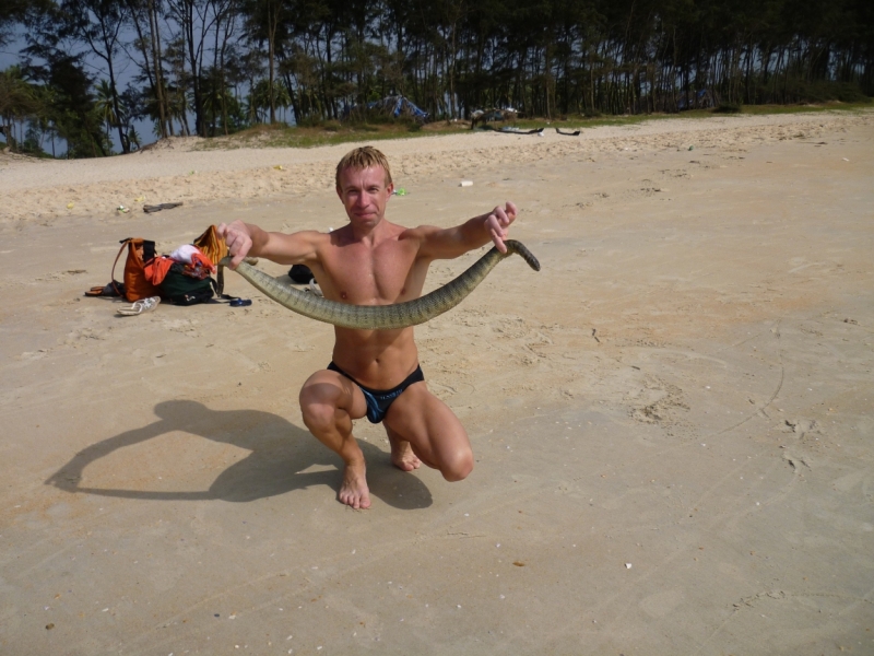 Ёжик in туман