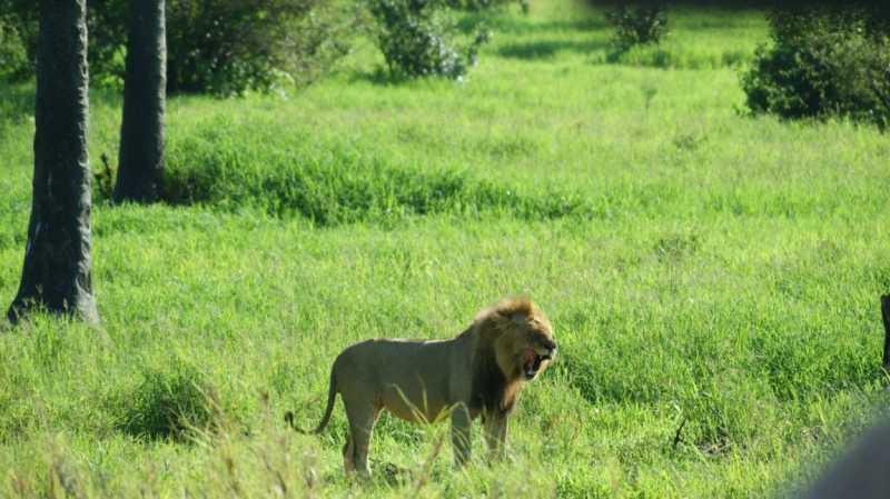 Танзания-Занзибар, январь 2015 Танзания-Занзибар, январь 2015