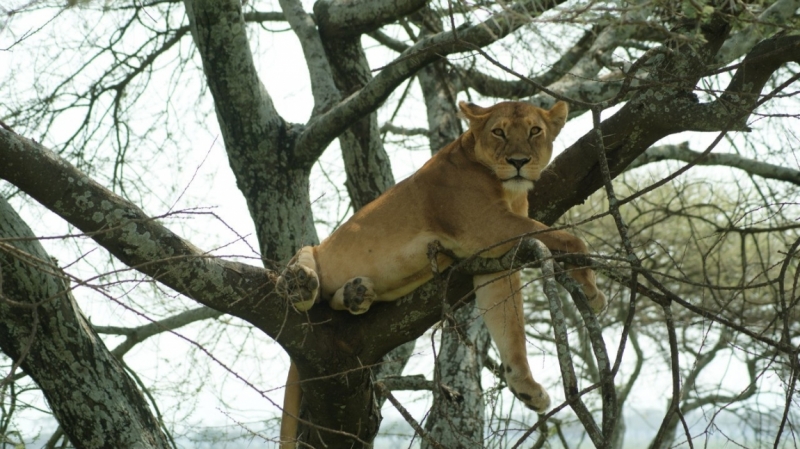 Танзания-Занзибар, январь 2015