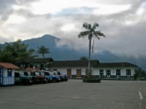 IMG 0257