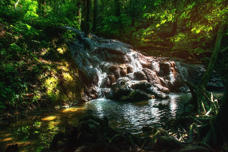 Дикарем в Азию, впервые