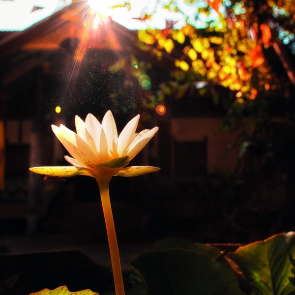 Дикарем в Азию, впервые