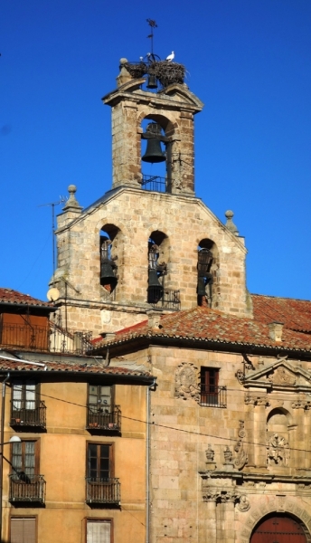 Птицы в фотографиях из путешествий