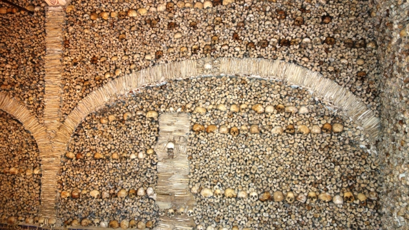 Ужасы, кошмары, гадости, приколы и нелепости, и разная абракадабра из путешествий.