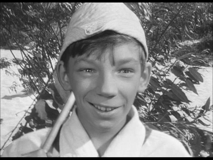 Ёжик in туман