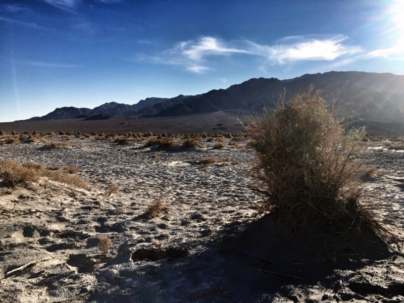 Нужен совет Лас Вегас - Гранд Каньон - Лос-Анджелес - Сан-Франциско
