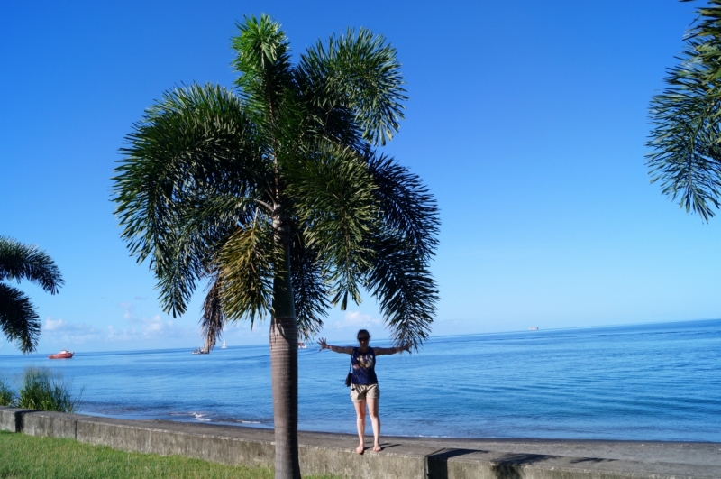 Перворазники на Карибах: круиз на P&O Ventura