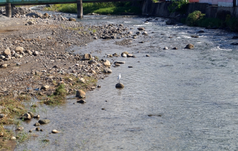 Перворазники на Карибах: круиз на P&O Ventura