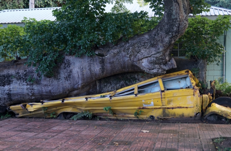 Перворазники на Карибах: круиз на P&O Ventura