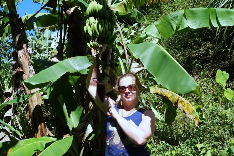 Перворазники на Карибах: круиз на P&O Ventura